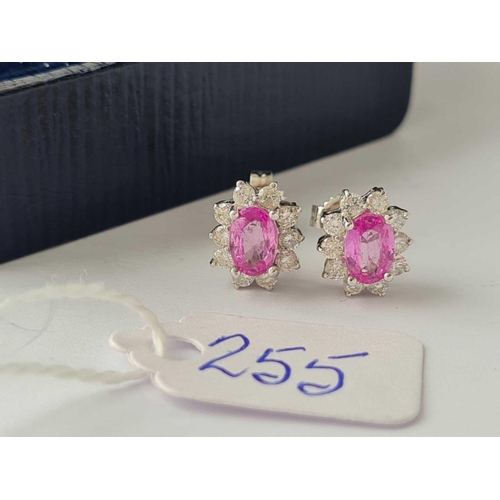 255 - A PRETTY  PAIR OF CASED PINK SAPPHIRE AND DIAMOND EARRINGS 18CT WHITE GOLD