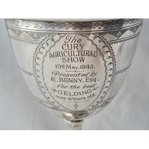 741 - A Victorian goblet for 