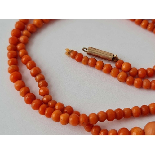 113 - A Victorian graduated coral bead necklace (needs restringing) 15 inches