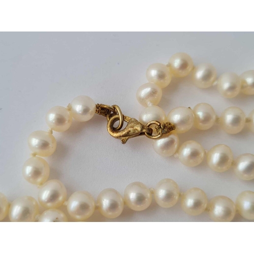 25 - A string of pearls with silver gilt clasp