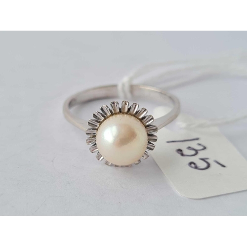 135 - A pearl set ring 18ct gold size P - 3.8 gms