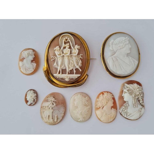 351 - Two Victorian shell cameos and six unmounted shell cameos