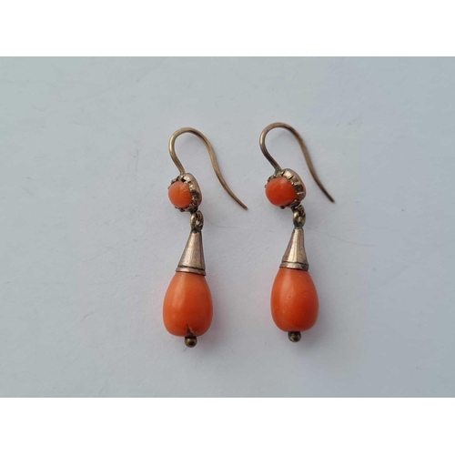 420 - A pair of antique coral earrings