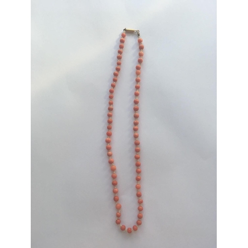 125 - A Victorian coral and seed pearl necklace on barrel snap clap 16 inch