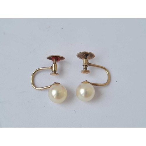 287 - A pair of pearl earrings 9ct