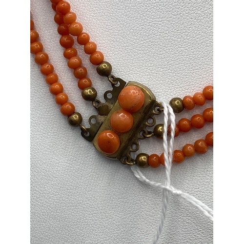 58 - A Victorian coral bead three strand necklace with original clasp