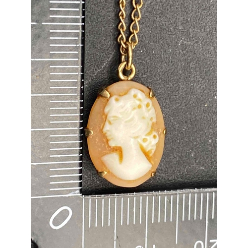 347 - A 9ct cameo pendant on 9ct chain 3g inc