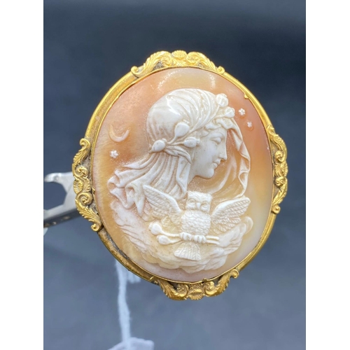 163 - 19thc yellow metal mounted Minerva cameo brooch 21.8g inc