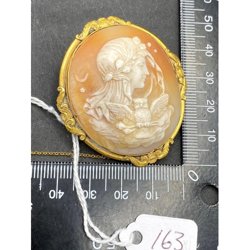 163 - 19thc yellow metal mounted Minerva cameo brooch 21.8g inc