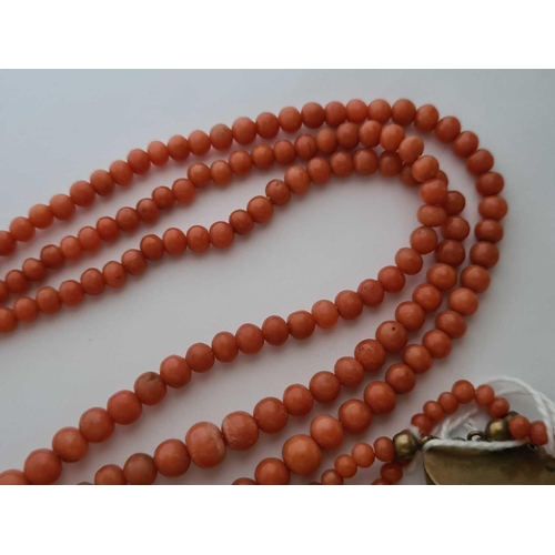 58 - A Victorian coral bead three strand necklace with original clasp