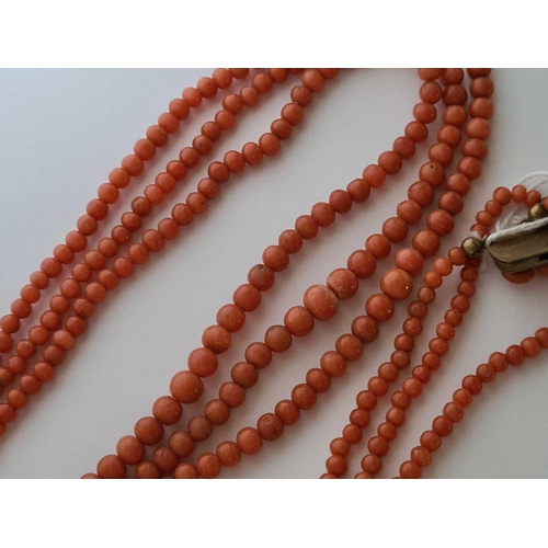 58 - A Victorian coral bead three strand necklace with original clasp