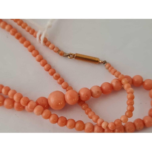 224 - A graduated coral necklace with gold clasp