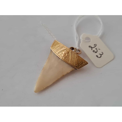 253 - A Victorian 15ct gold mounted sharks tooth pendant