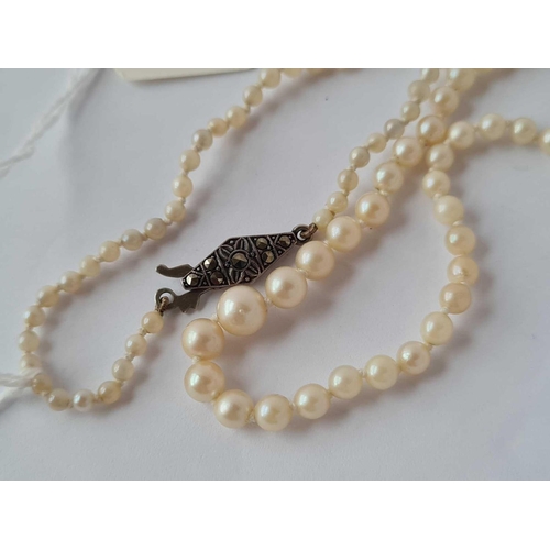 494 - A row of pearls with silver mounted clasp