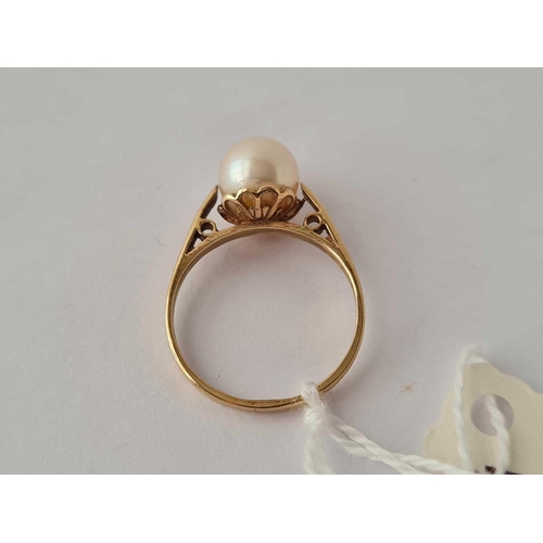 504 - A single pearl set 9ct ring size N 2.2g inc