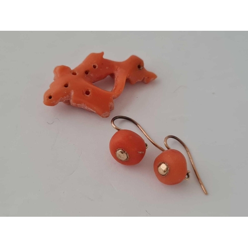 618 - A pair of Coral Earrings and a Carved Coral Lady