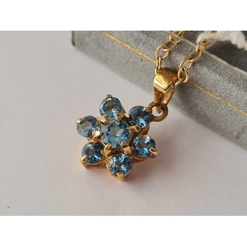 671 - A Boxed Blue Stone Flower Necklace in 9ct