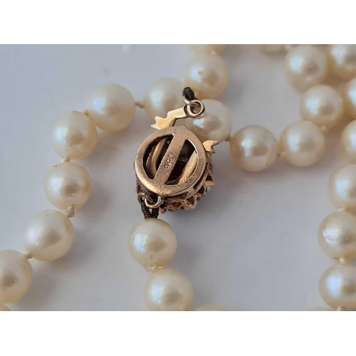 199 - A row of pearls with 9ct pearl and garnet clasp 17 inch