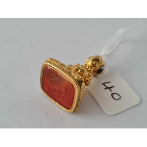 Lot 40        