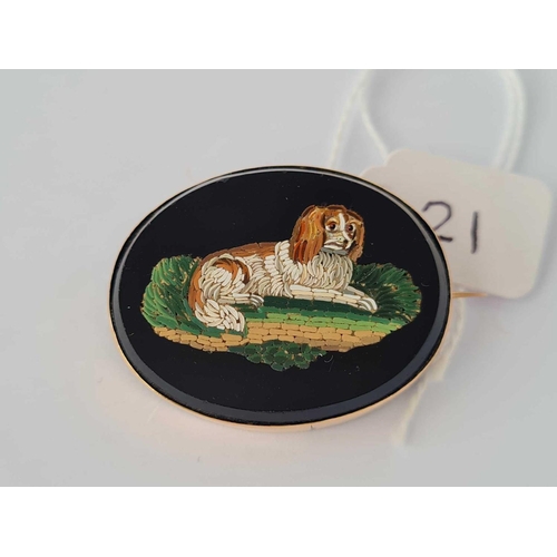 21 - Antique Victorian micro mosaic brooch of a dog mounted in gold,  36 x 27mm