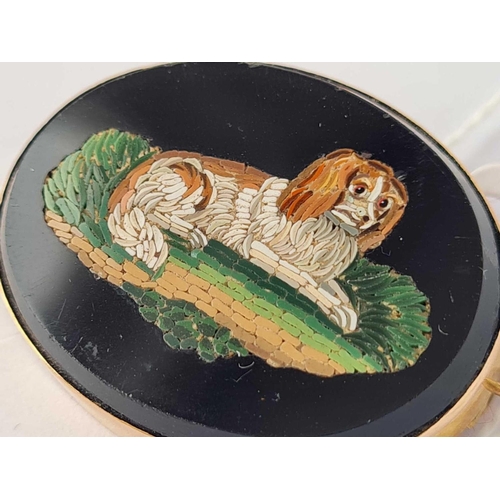 21 - Antique Victorian micro mosaic brooch of a dog mounted in gold,  36 x 27mm