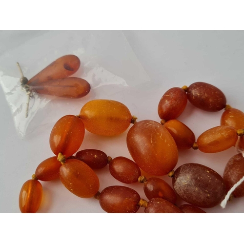 215 - A string of amber beads and matching earrings    37 gms