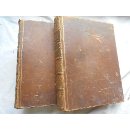 1014 - BRYAN, M.  ...Dictionary of Painters...  2 vols. 1816, London, 4to cont. fl. cf. engrvd. port. front... 