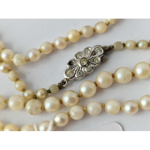 300 - A long pearl necklace 24 inch