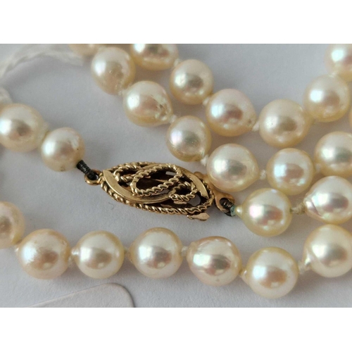 31 - A pearl necklace with 9ct clasp 17 inch