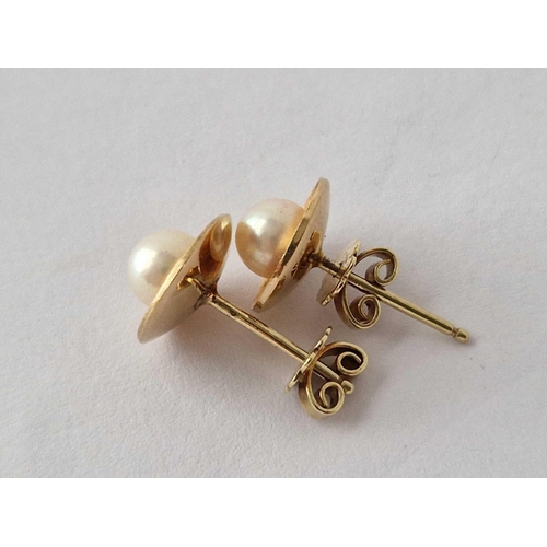 502 - A pair of pearl ear studs 14ct gold 3.6 gms