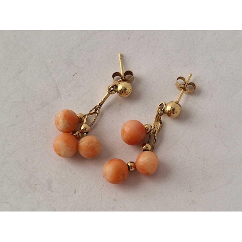 584 - A pair of coral drop earrings, 14ct