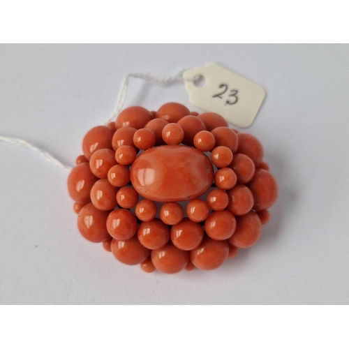 Lot 23        