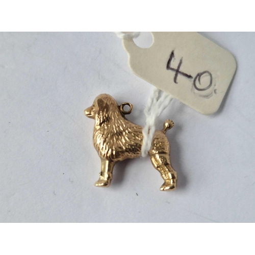 Lot 40        