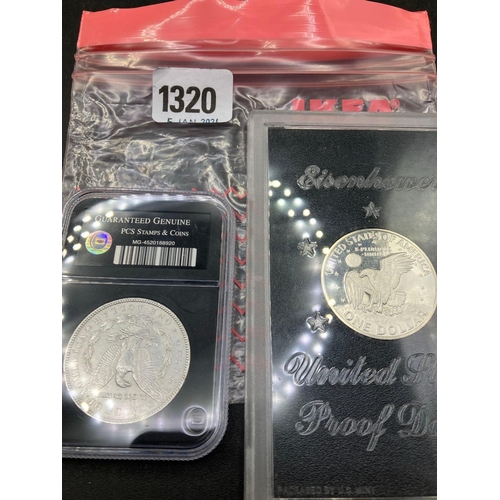 1320 - USA Encapsulated Silver Dollars