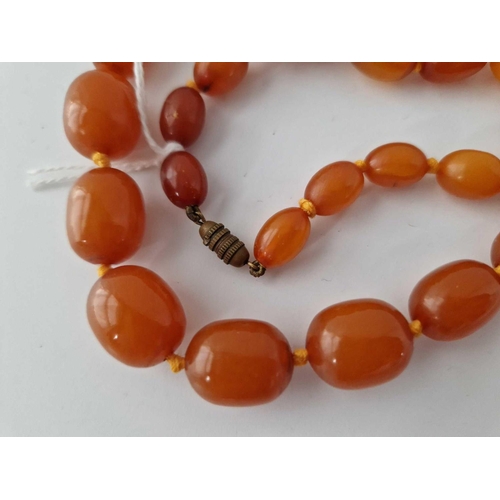 362 - A Butterscotch Amber Bead Necklace 20 Inch 35 Gms