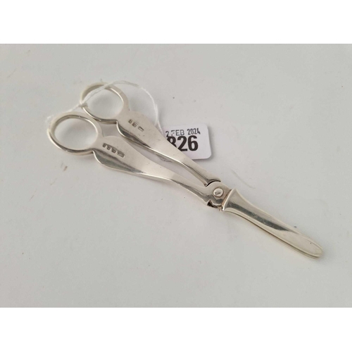 826 - A Pair Of Grape Scissors Plain, 6