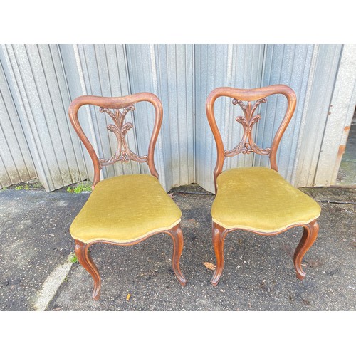 1779 - Set of Four Victorian Rose Wood  Dining Chair with Carded Splat Back Cabriolet Legs and Scroll Feet