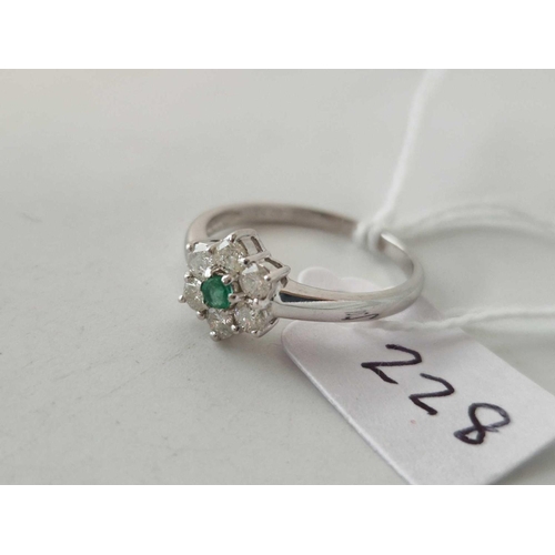 228 - A white gold diamond and emerald cluster ring diamond content 0.50 carat 18ct gold size O