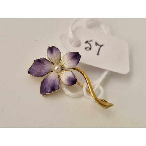 57 - An Edwardian high carat gold enamel flower brooch, boxed