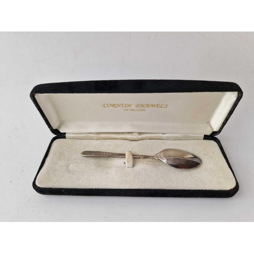 1137 - Enamel decorated with Kingfisher spoon. 4 in long.. Birmingham 1959. Boxed