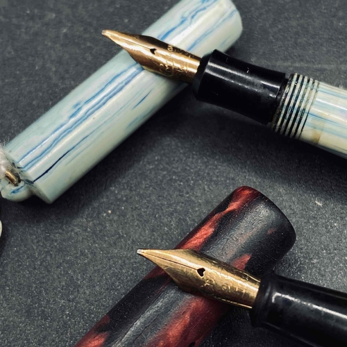 1737 - Conway Stewart fountain pen and another