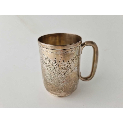 860 - An Exeter Victorian mug engraved with ferns, vacant cartouche, 4