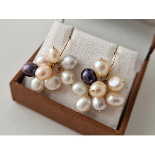 305 - A boxed pair of pearl cluster earrings with 9ct fish hooks wires