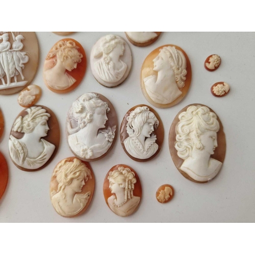 670 - Assorted various antique and vintage loose shell cameos