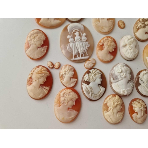 670 - Assorted various antique and vintage loose shell cameos