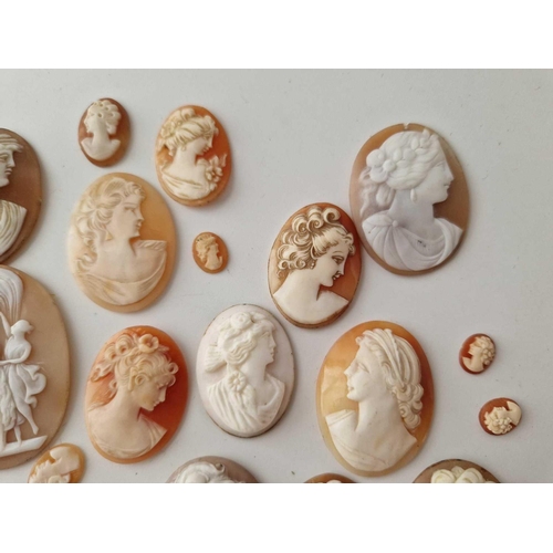 670 - Assorted various antique and vintage loose shell cameos