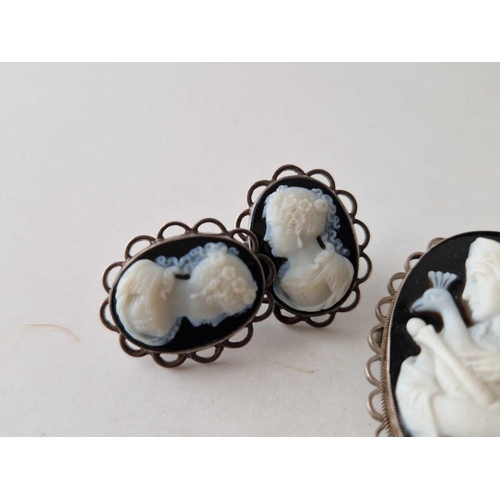 134 - A VICTORIAN HARD STONE CAMEO BROOCH AND EARRINGS SET MOUNTED IN SILVER