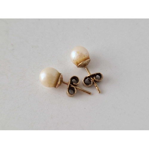 188 - A pair of pearl stud earrings 9ct