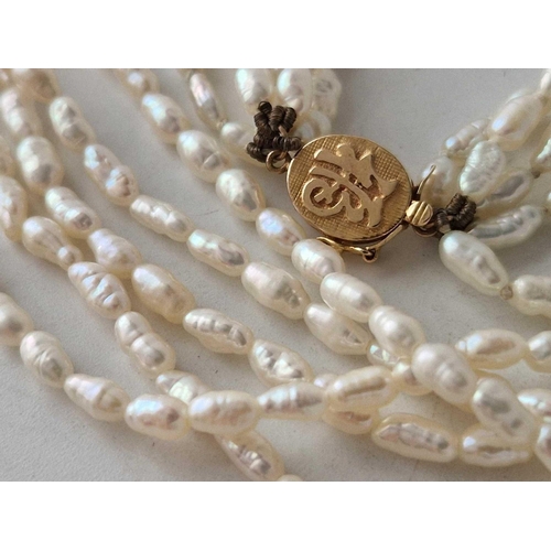 352 - A five strand river pearl necklace with 14ct gold Chinese symbol clasp 15 inch