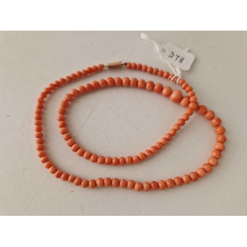 378 - A string of coral beads with gold clasp 18 inch 15.6 gms